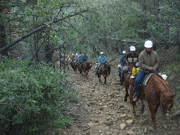 Cavalcade on the trail - heading for Baldy town